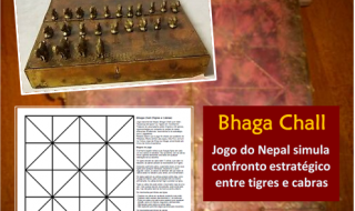 Bhaga-Chall (Nepal) confronto estratégico entre tigres e cabras